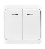 SmartBuy "Юпитер" выключатель 2-кл. о/у белый с индик. SBE-03w-10-SW2-1
